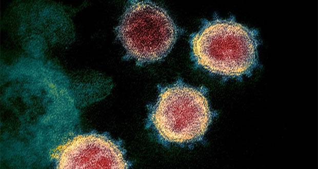 Le coronavirus peut se manifester avec des symptômes de la dengue