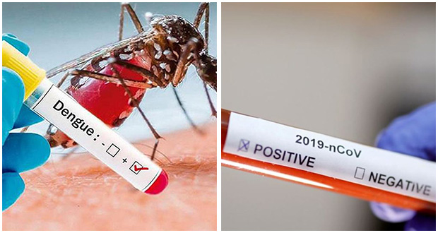 La Réunion: une personne co-infectée par la dengue et le Covid-19