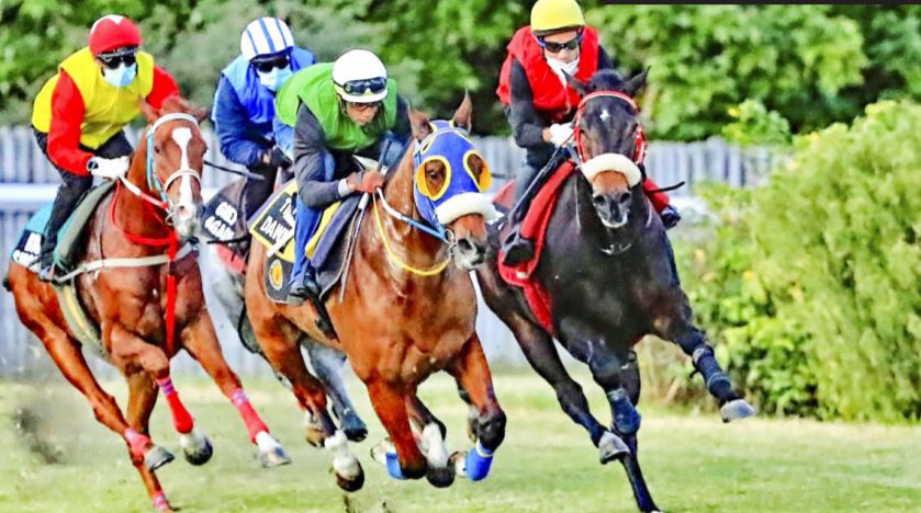 Hippisme: la lumière au bout du tunnel