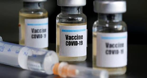Covid-19: un vaccin montre des signes prometteurs chez les animaux 