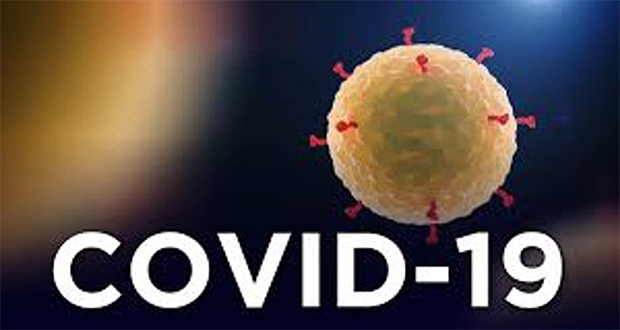 Covid-19: quatre nouveaux cas détectés