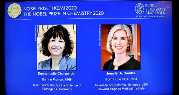 Deux généticiennes remportent le prix Nobel de la chimie