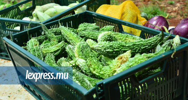 Surinam: un chef inspecteur qui vendait des légumes pris en contravention par ses collègues 