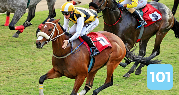 Hippisme – The Duchess Of York Cup 1400m Groupe 2: Balade de santé pour Twist Of Fate