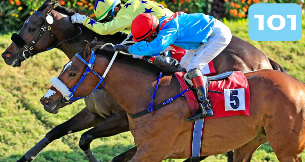 Hippisme: Padre Pio et Ehsaan se partagent la victoire