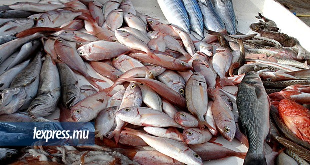 Hausse attendue des prix des produits de la mer