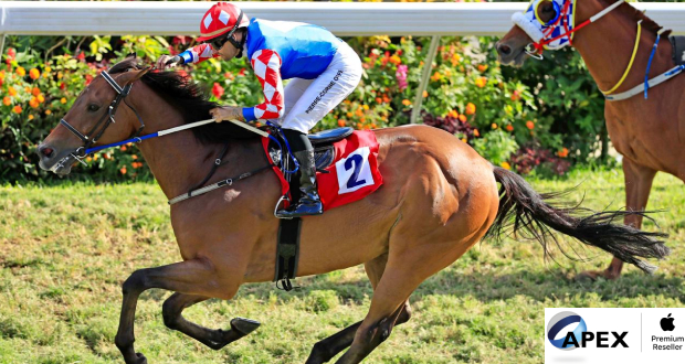 Hippisme: Undercover Agent résiste jusqu’au bout ! 