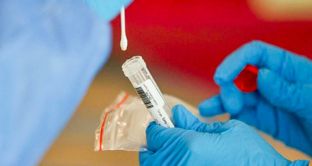  Test PCR, coronavirus et grippe: distinguer le vrai du faux
