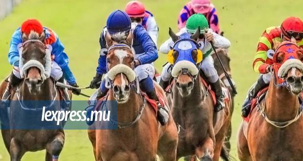 Hippisme: Suivez la 14e journée
