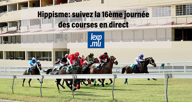 Hippisme: suivez la 16ème journée des courses en direct