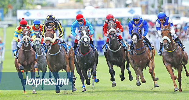 Hippisme: suivez la 23ème journée des courses en direct