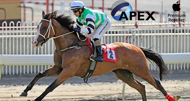 Hippisme: Nourbese comme attendu