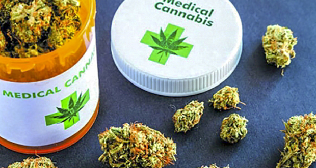 Cannabis médical: le rapport remis au ministère de la santé 