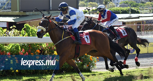Hippisme: Twist Of Fate fait parler sa classe