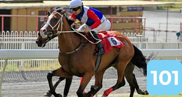 Hippisme: Nourbese toujours invaincu