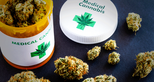 Introduction du cannabis médical: des pistes pour une politique vraiment efficace