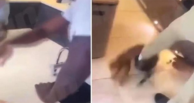 Angleterre: une vidéo de Kurt Zouma frappant son chat fait scandale