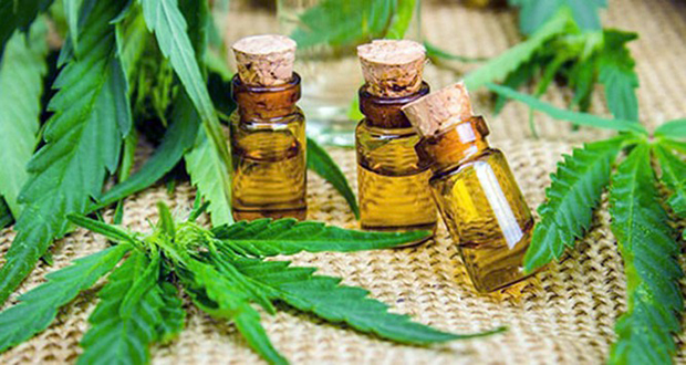Cannabis médical: la longue attente des patients et des spécialistes
