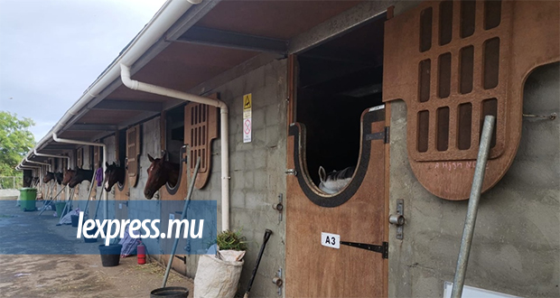 Hippisme │ Centre «d’entraînement» privé de Petit-Gamin: Développement tous azimuts, les enjeux
