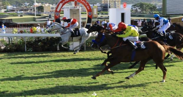 Hippisme: Red Mars surprend Stream Ahead 