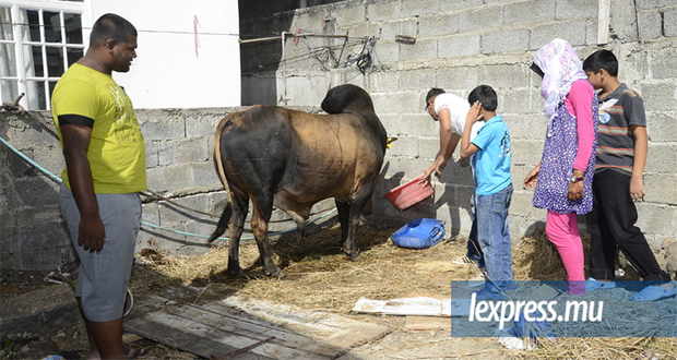 Eid-Ul-Adha: pas de restriction mais moins de viande