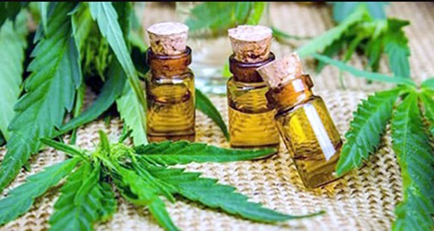 Usages: l’huile de cannabis se glisse dans les moeurs mauriciennes