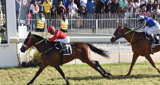 Hippisme: l’intraitable The Gatekeeper sacré meilleur 4-ans