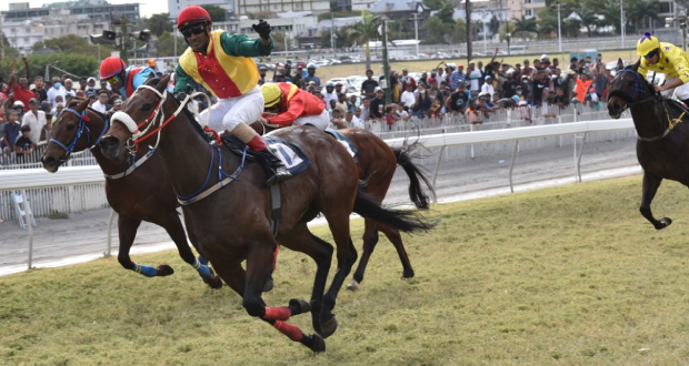 Hippisme: Alyaasaat haut la main