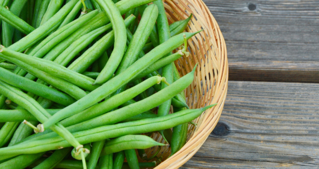 Consommation: le prix du haricot vert fil à Rs 60 la livre