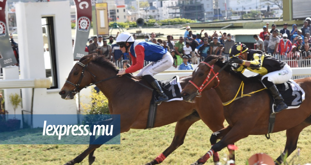 Hippisme: Undercover Agent fait tomber W. O. Dubrovnik