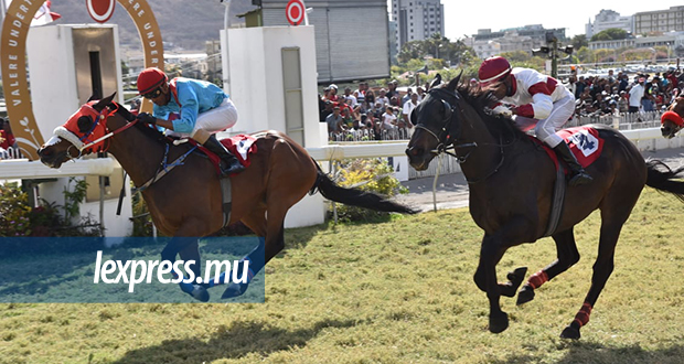 Hippisme: Holy Warrior se rachète du Maiden