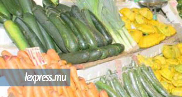 Consommation: la récolte de courgette et de pâtisson est très bonne