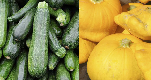 Consommation: le prix des courgettes et des pâtissons en baisse