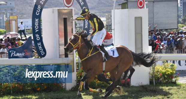 Coupe d’Or: Walls Of Dubrovnik mate les cadors
