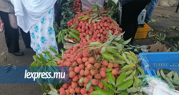 Fruits d’été: «Siro leks...»