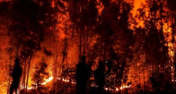 Chili: 24 morts dans des immenses feux de forêt, plus de 1 100 blessés