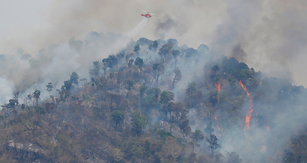 Thaïlande: les pompiers luttent contre un important feu de forêt