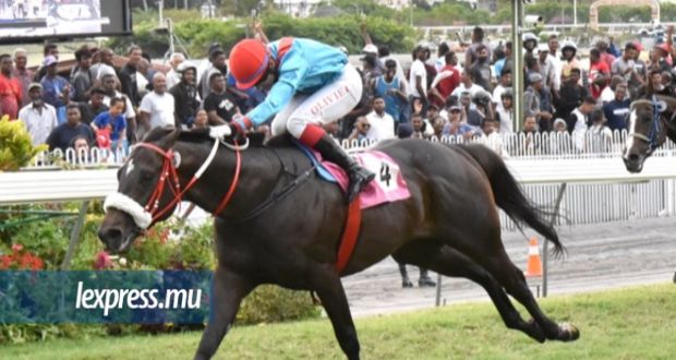 Bambous Riding Club: pas de maltraitance observée mais trois chevaux «en piteux état»