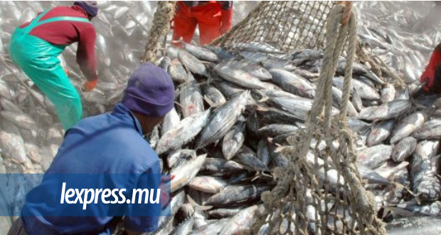 Commission des thons de l’océan Indien| Dispositif de concentration de poissons: risque de vagues de contestation