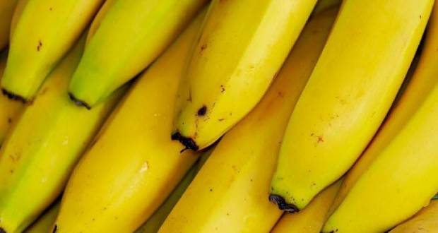 Portugal: 4,2 tonnes de cocaïne saisies dans des palettes de bananes de Colombie