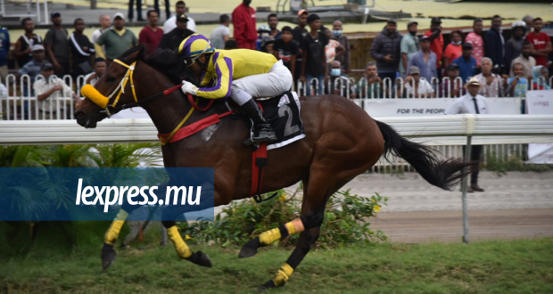 Hippisme: Xavion sans forcer son talent 