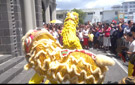 Fête du Printemps : Danse des lions chinois devant l’église Ste Thérèse à Curepipe
