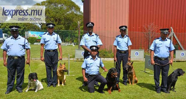 Incursion chez les chiens «policiers»