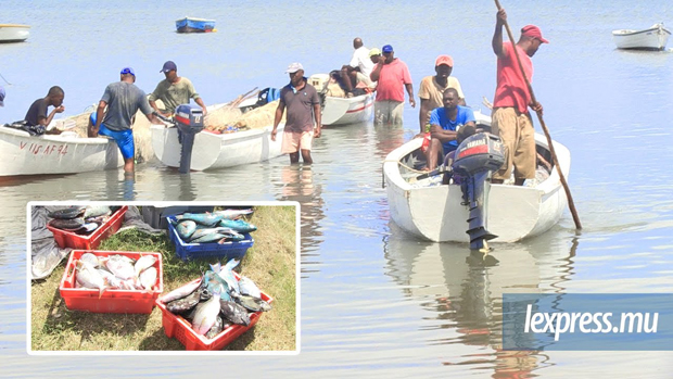 Ouverture de la pêche à la senne: les pêcheurs restent sur leur faim
