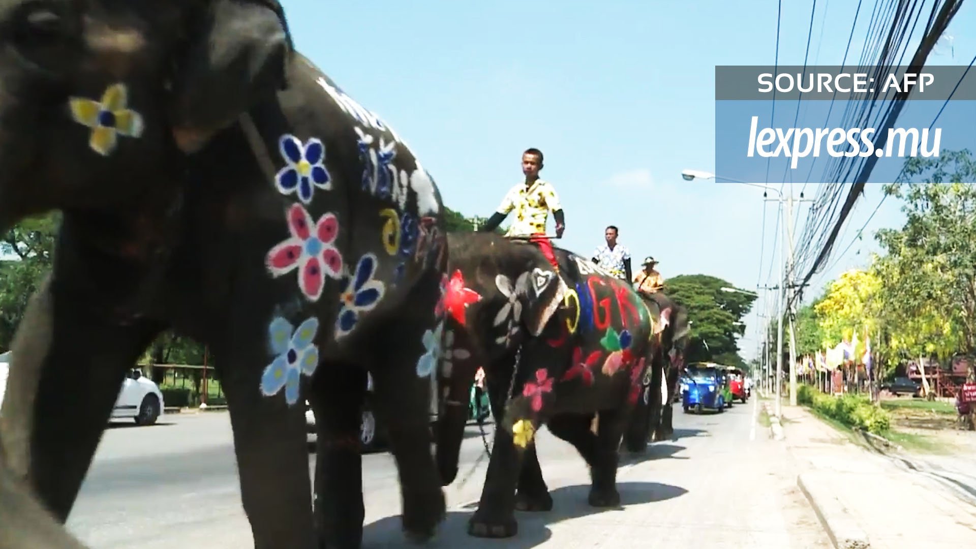 Thaïlande: des éléphants lancent le festival de l'eau