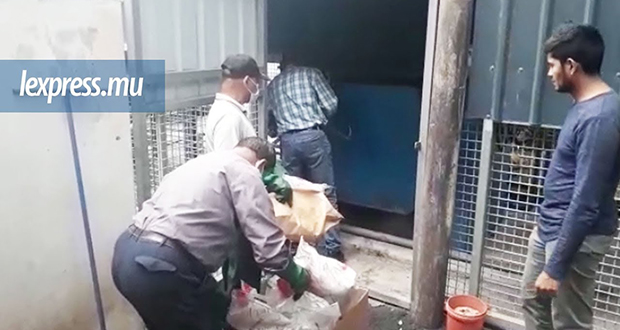 Casernes centrales: Rs 24 millions de drogue partent en fumée
