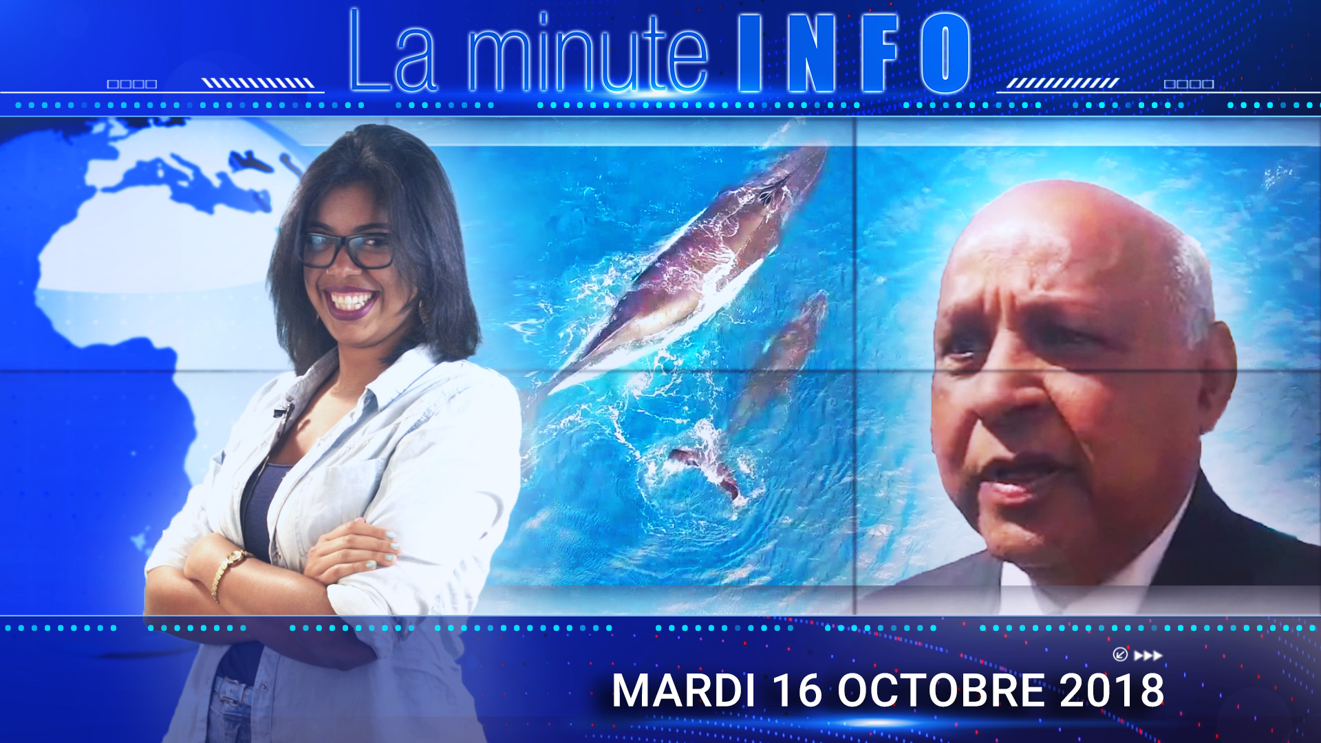 LaMinuteInfo: Koonjoo remet ça avec les baleines