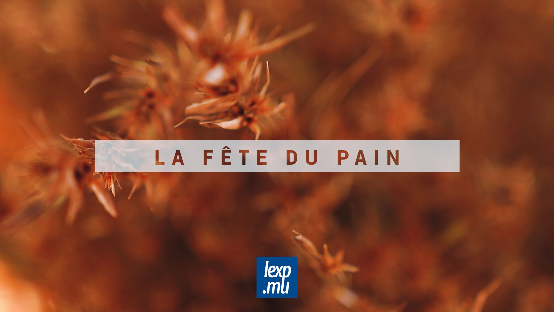 Fête du Pain : découvrez le talent des pâtissiers et boulangers en images 