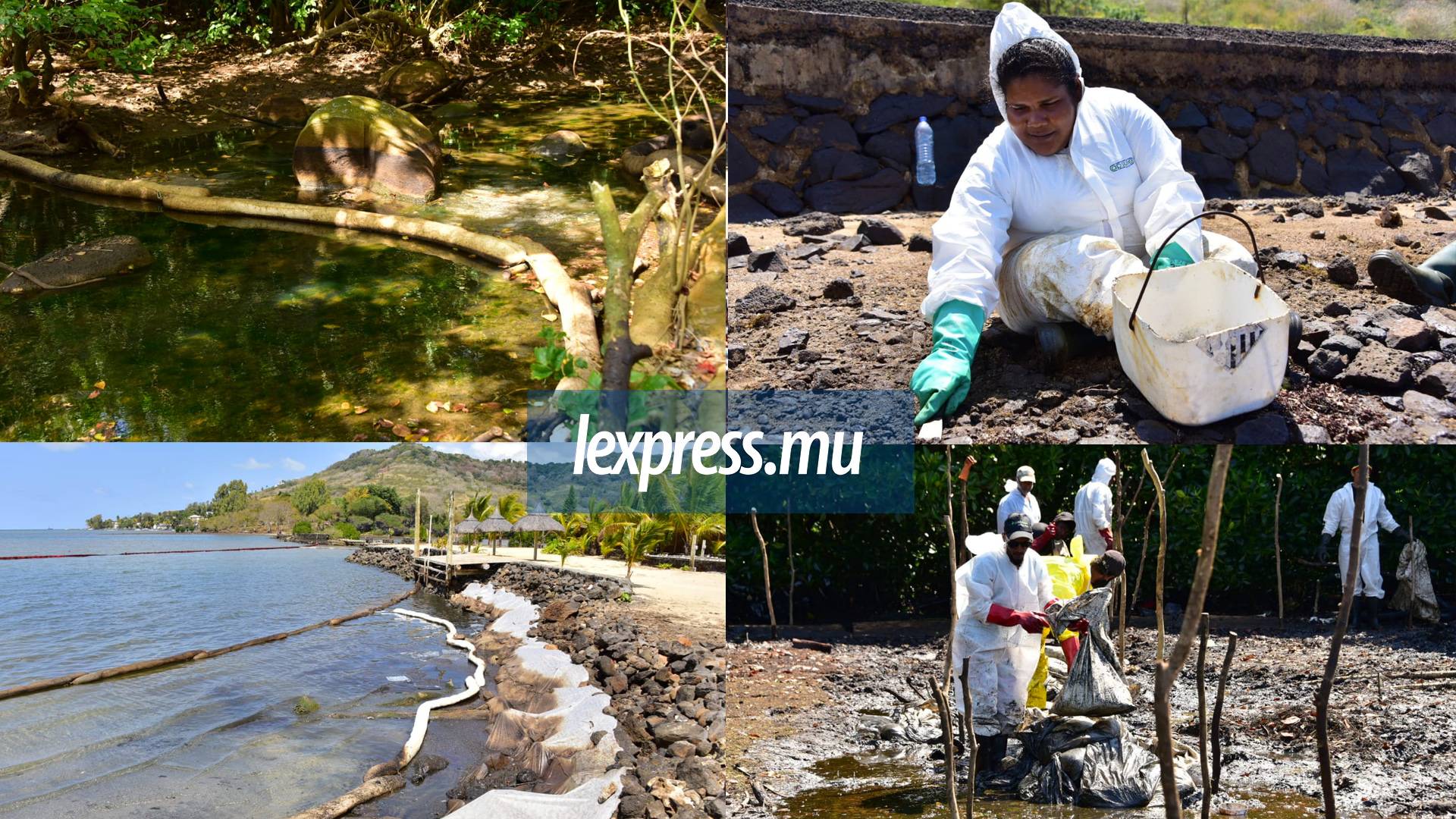 Rivière-des-Créoles: le nettoyage des mangroves se poursuit