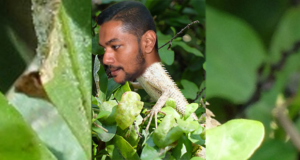 Husein Abdool Rahim: le caméléon